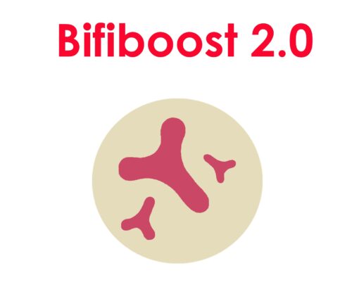 Bifiboost 2.0 Vitalité et Tonus