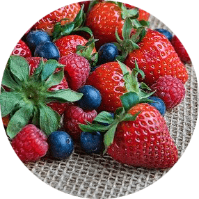 fruits alimentation saine