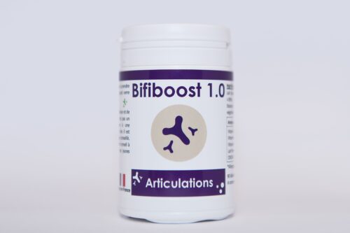 Flacon Bifiboost 1.0 90 gélules