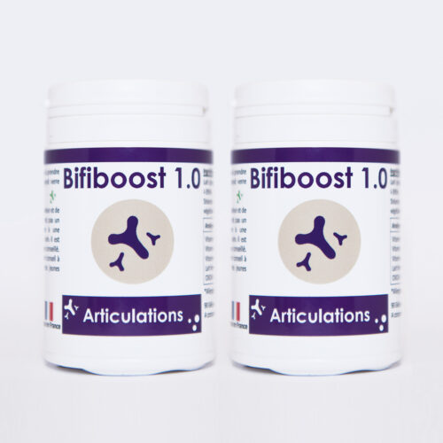 bifiboost 1.0 lot 2 90 gélules