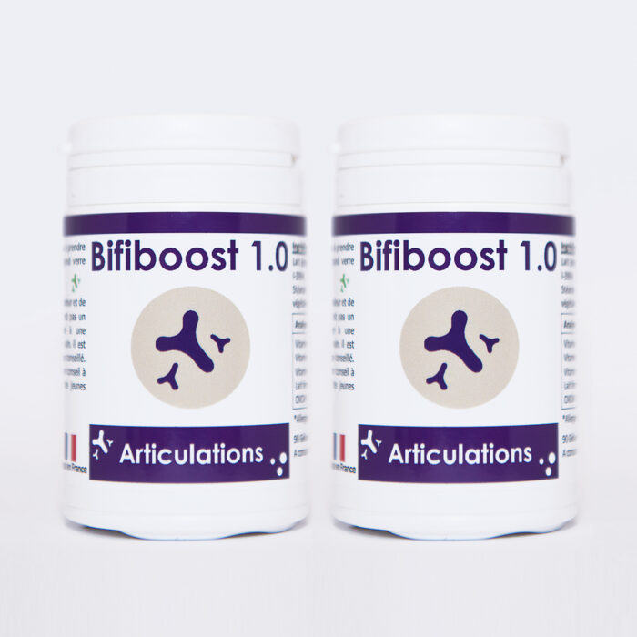 bifiboost 1.0 lot 2 90 gélules